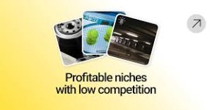 Low Competition Ecommerce Niches